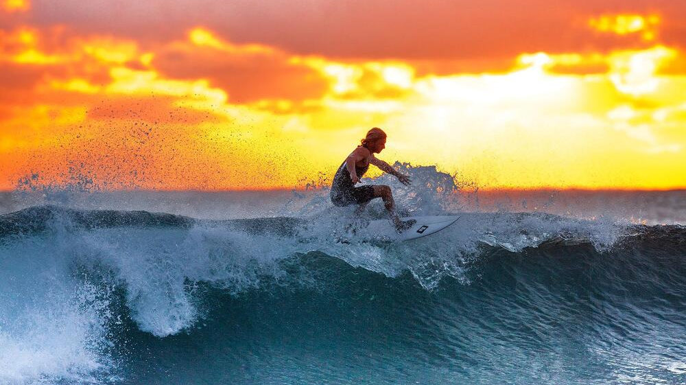 All You Should Know About California Surfing Day