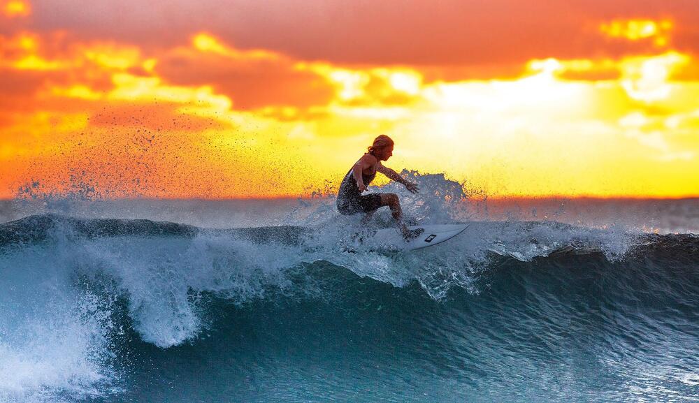 All You Should Know About California Surfing Day