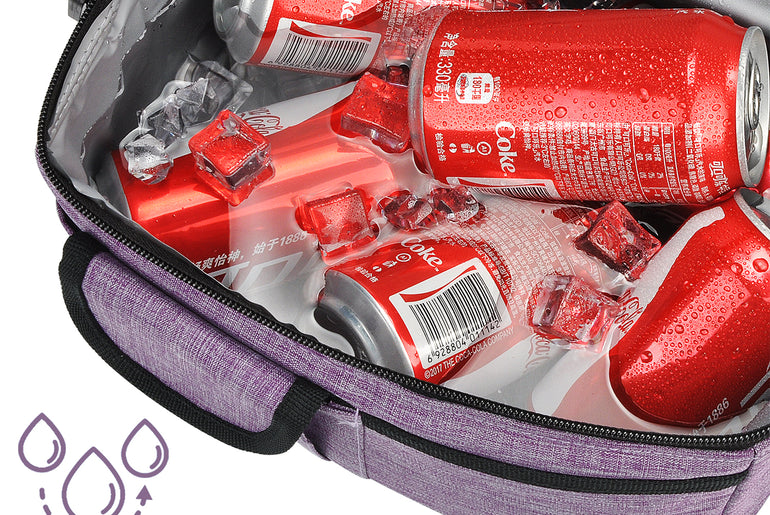 Tirrinia Lunch Tote Bag with Dual Compartment
