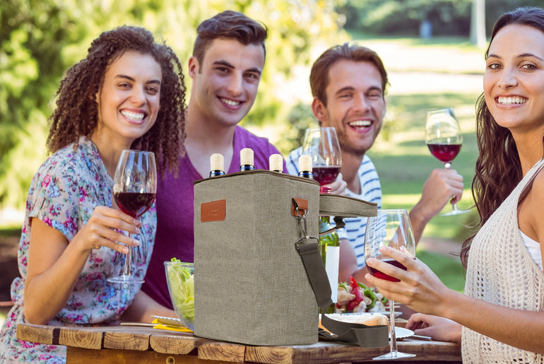 Tirrinia 4 Bottle Wine Cooler Tote Bag for Wine Travel