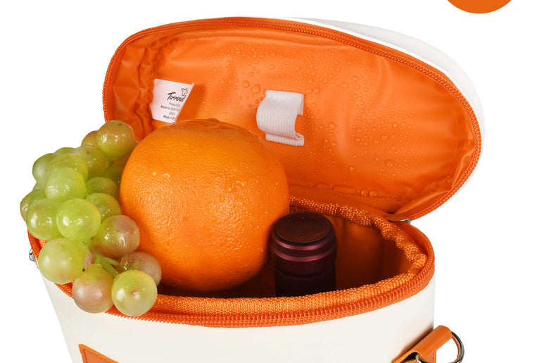 Tirrinia 2 Bottle Insulated Wine Bag – Stylish Wine Tote for Travel, Picnic & Gifting front view